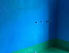 太白卫生间测漏水多少钱